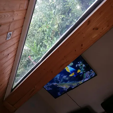Wohlfuehloase - Zimmer, - Im Herzen Starnbergs * Starnberg